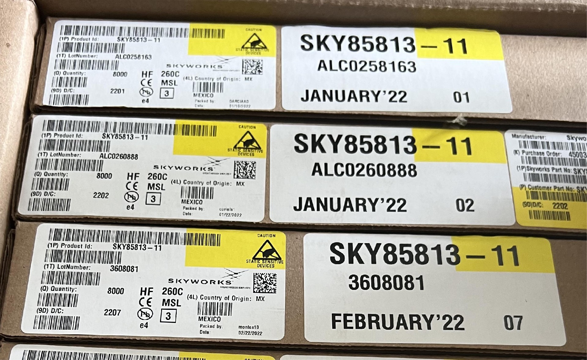 SKY85813-11.jpg