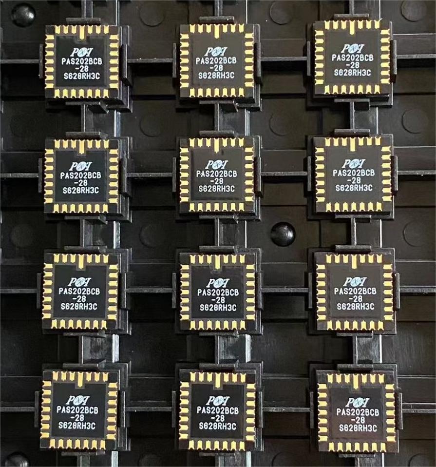 PAS202BCB-28